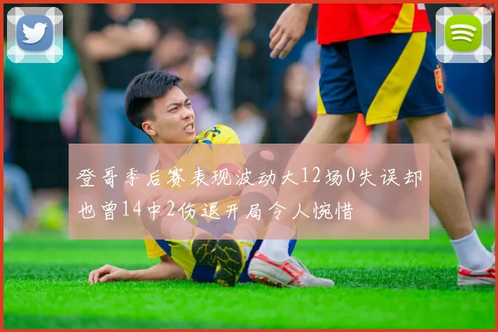 登哥季后赛表现波动大12场0失误却也曾14中2伤退开局令人惋惜