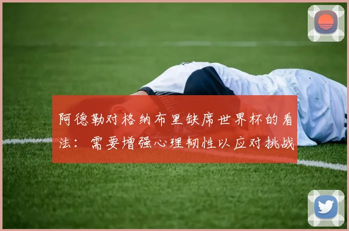 阿德勒对格纳布里缺席世界杯的看法：需要增强心理韧性以应对挑战